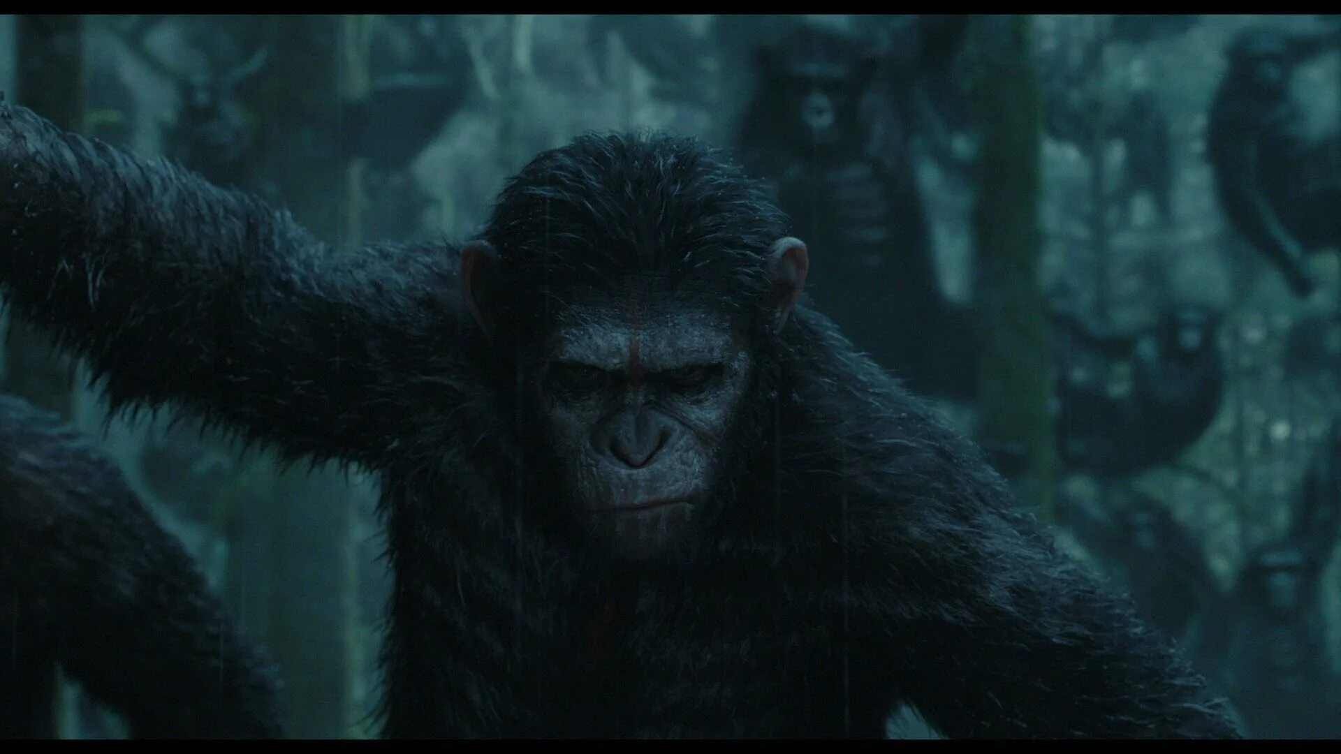 Планета обезьян хорошее качество 2014. Планета обезьян: революция (2014). Планета обезьян революция.