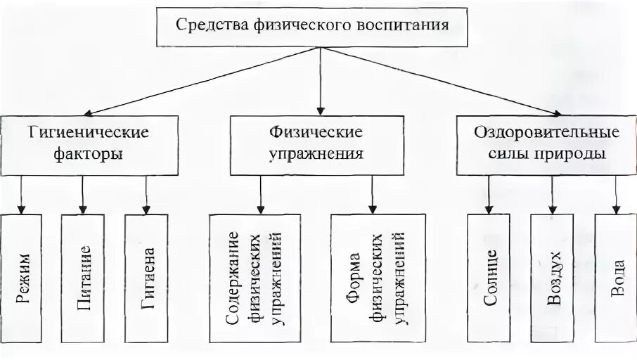 Основные и вспомогательные средства физического воспитания