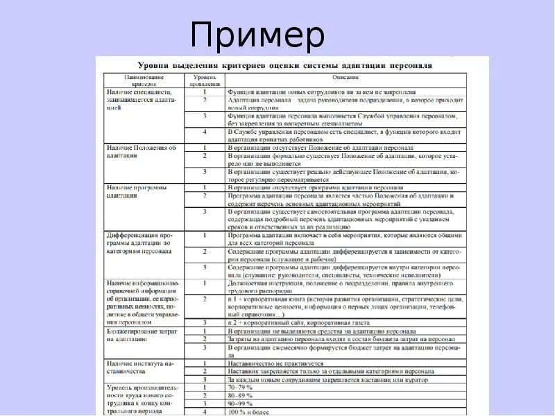 Примеры адаптации в организации