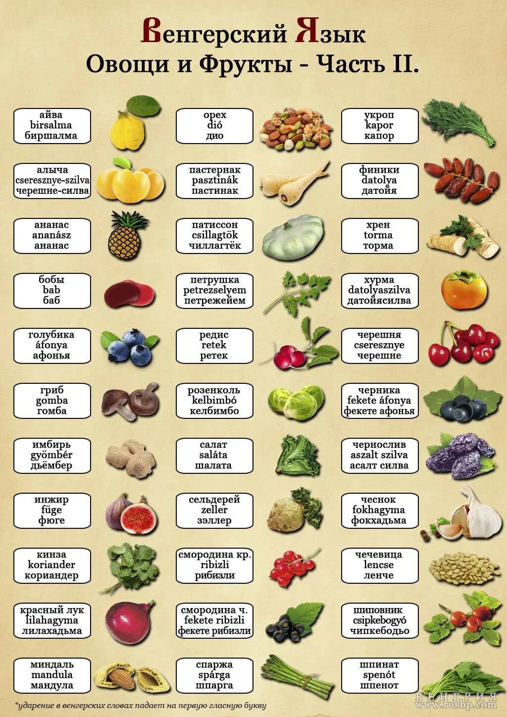Фрукты список по алфавиту. Овощи на букву а. Плакат овощи и фрукты. Овощи и фрукты названия. Плакат.