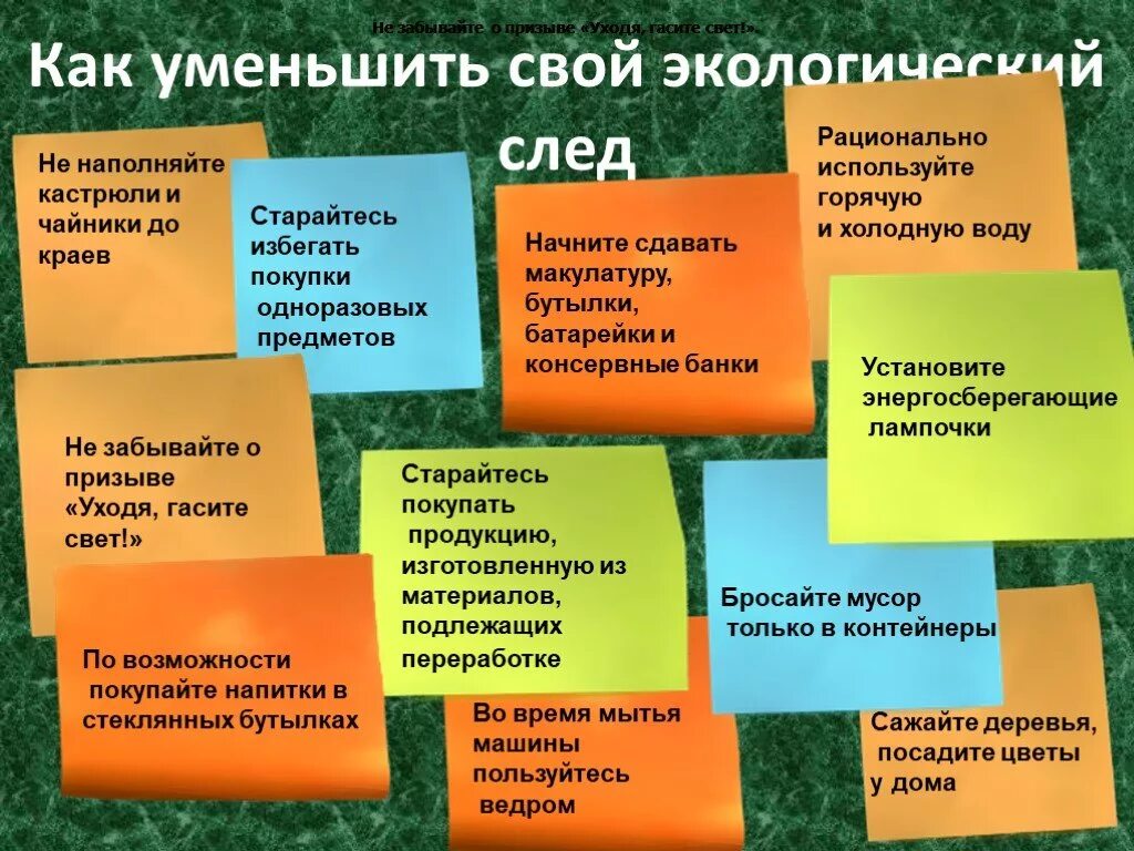 Задания к уроку к экологическая безопасность. Интересные факты по экологии. Интересные факты об эколо. Экологические факты интересные. Интересные факты об экологии для детей.