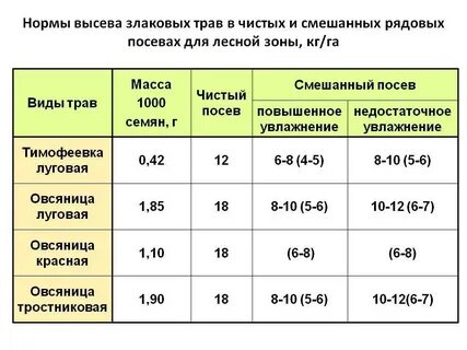 Норма высева суданской травы