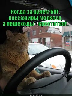 Как будешь не за рулем