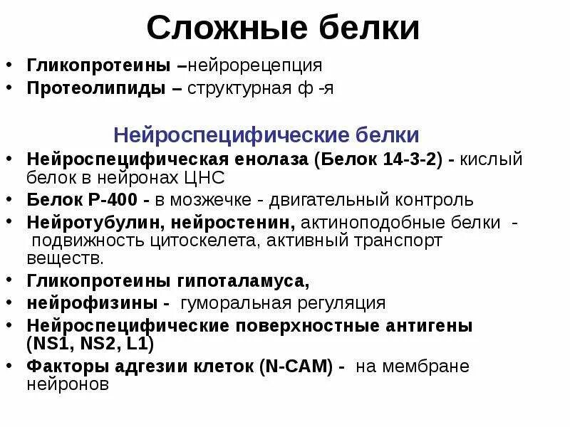 Нейроальбумины, нейроглобулины. Белок нервной ткани. Белок нервной ткани. Простые белки нервной ткани. Белки нервной ткани.