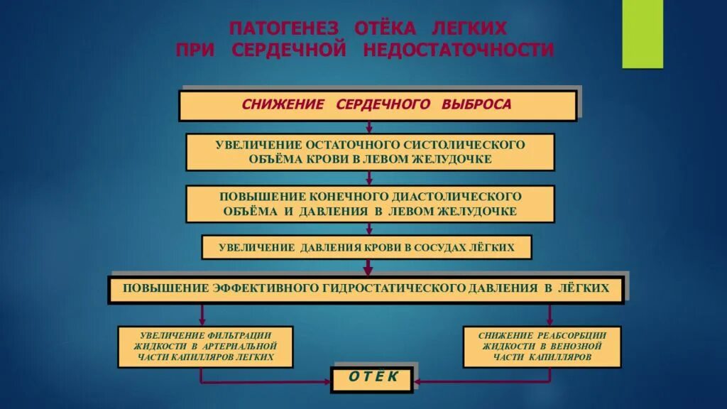 Патогенез печеночных отеков. Механизм развития печеночных отеков. Печеночные отеки патофизиология. Патогенез отеков патофизиология. Исходы патогенеза