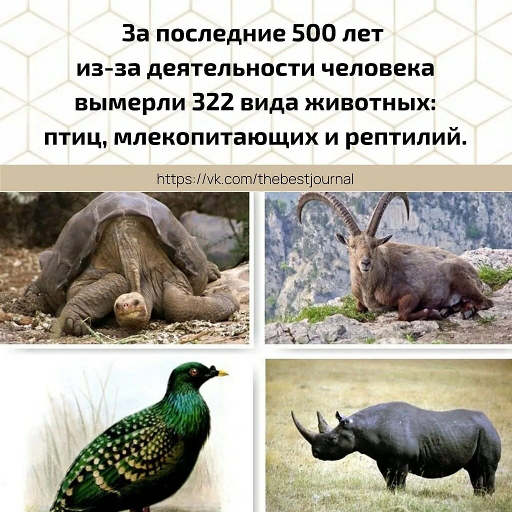 Умершие виды животных