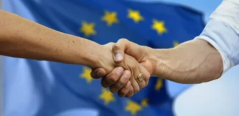 Eu partner