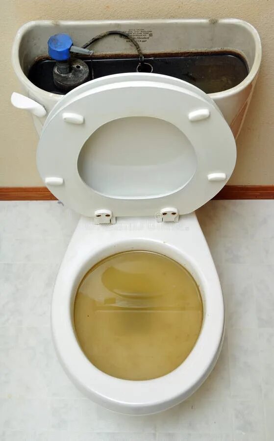 Мочи в сортире