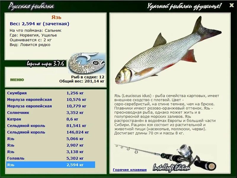 русский плотва. сорожка красноперка. русский плотва. плотва русская рыбалка 4. рыба краснопёрый чебак.