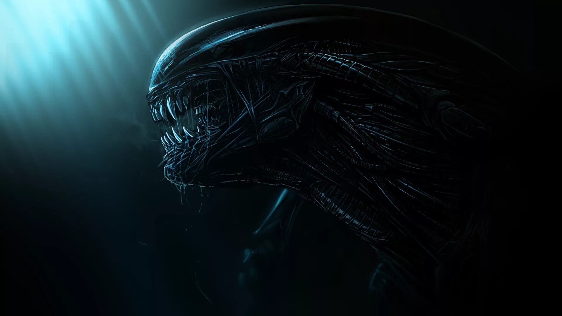 Из теней. Avp 2004. Aliens be out. Aliens be out. Aliens be out.