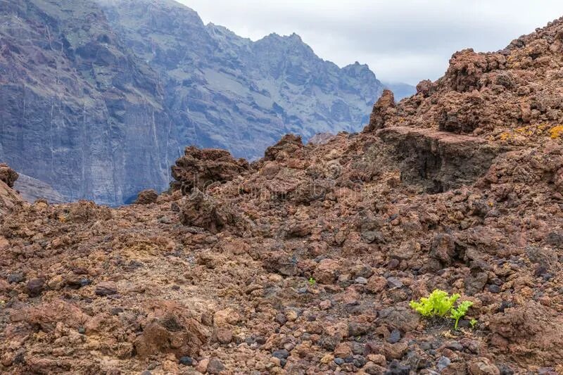 Карстовая равнина налларбор. Почвы побережья. Почвы побережья. Почвы побережья. Остров георга зфи.