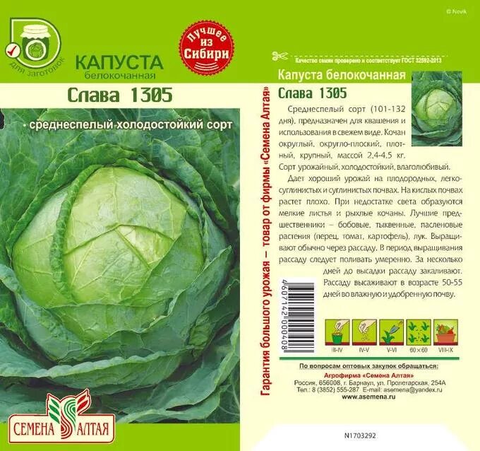 Капуста слава характеристика. Капуста Слава 1305 семена. Слава 1305 капуста описание сорта. Капуста белокочанная среднеспелая Слава. Капуста Слава 1305 характеристика и описание сорта.