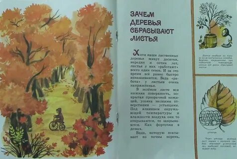 Прочитайте стихотворение граубина выпишите все глаголы