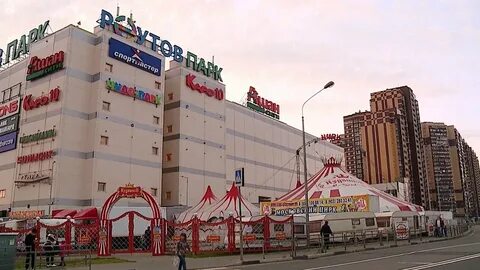 Цирк в реутово