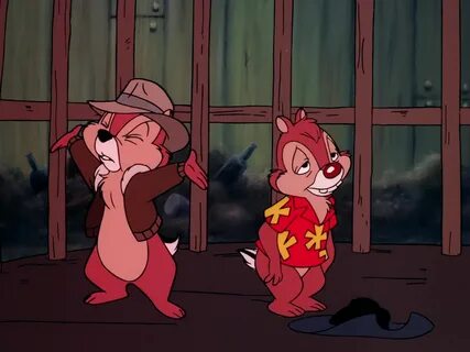 Включи дейли