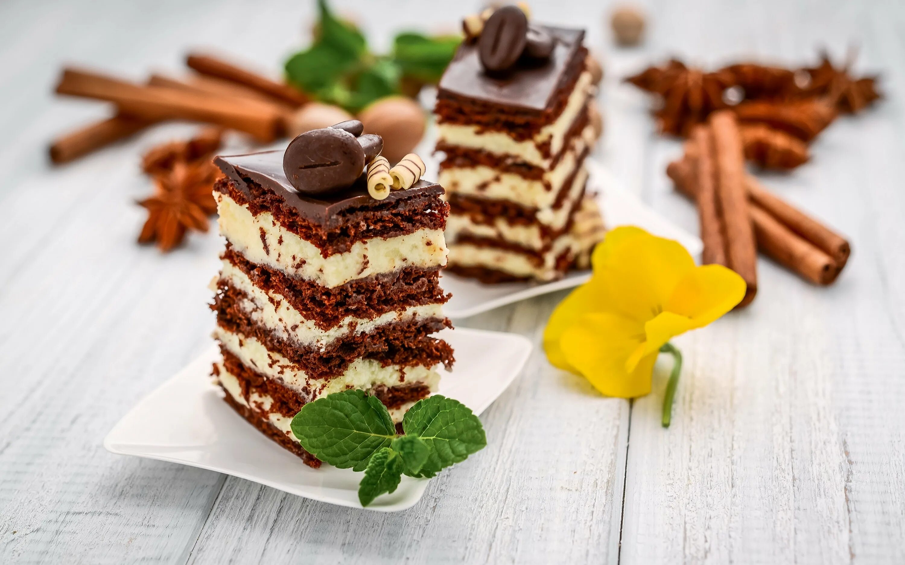 кусок торта. пирожное крем шоколад. шоколадный ганаш крем для торта. торт. торт грецкий орех рошэн.