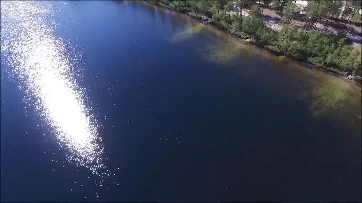 Озеро урай. Озеро светлое хмао. Озеро урай. Озеро нажицы. Озеро светлое урай.