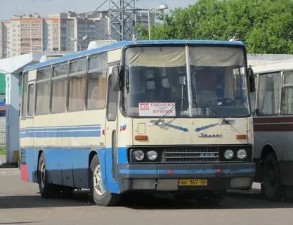 Автовокзал смоленск брянск
