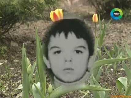 Жертвы фишера