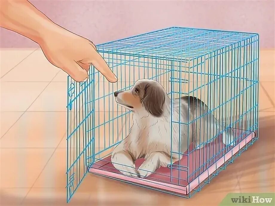Как приучить собаку к вольеру. Как приучить щенка к вольеру в квартире. A dog in a cage. Как приучить щенка к клетке в квартире. Как приучить собаку к клетке.