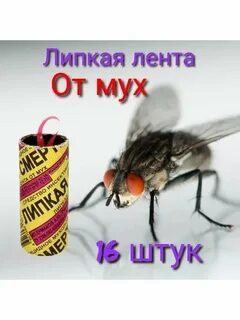 Липкая муха