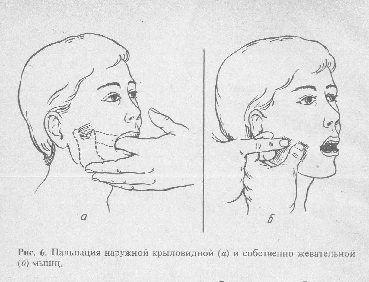 Пальпация жевательных мышц и ВНЧС. Фальсация жевательной мышцы. Пальпация собственно жевательной мышцы. Захват челюсти