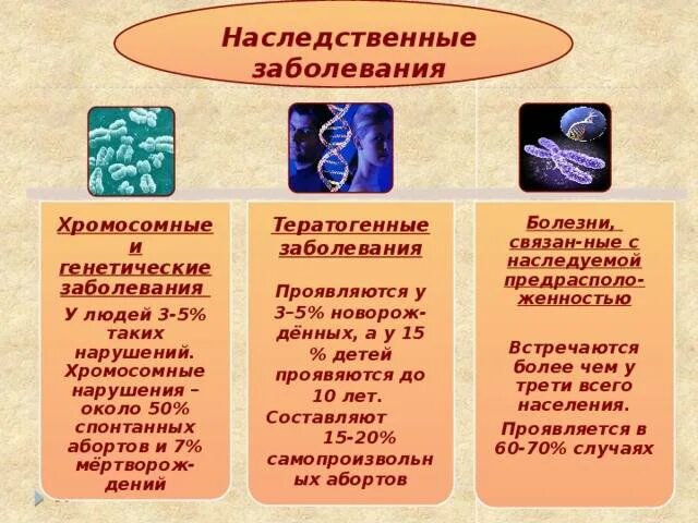 10 наследственных заболеваний. Наследственные болезни таблица. Генетические заболевания таблица. Наследственные и врожденные заболевания таблица. Буклет на тему наследственные заболевания человека.