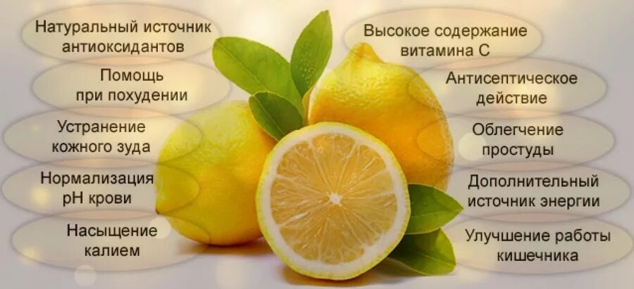 Лимон смесь чего. Полезные свойства лимона. полезные свойства лимона кратко. полезные и отрицательные свойства лимона.