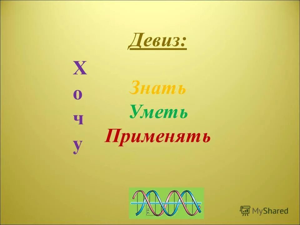 Следуя девизу. Слоган знать уметь. Девиз для команды Феникс. Девиз к названию Феникс. Девизы про Феникса.