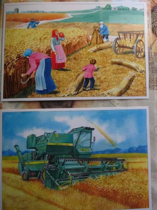 Рассказ о труде людей в поле. Труд хлеборобов картины художников. Сельскохозяйственные профессии для детей. Уборка урожая иллюстрация. Уборка урожая живопись.