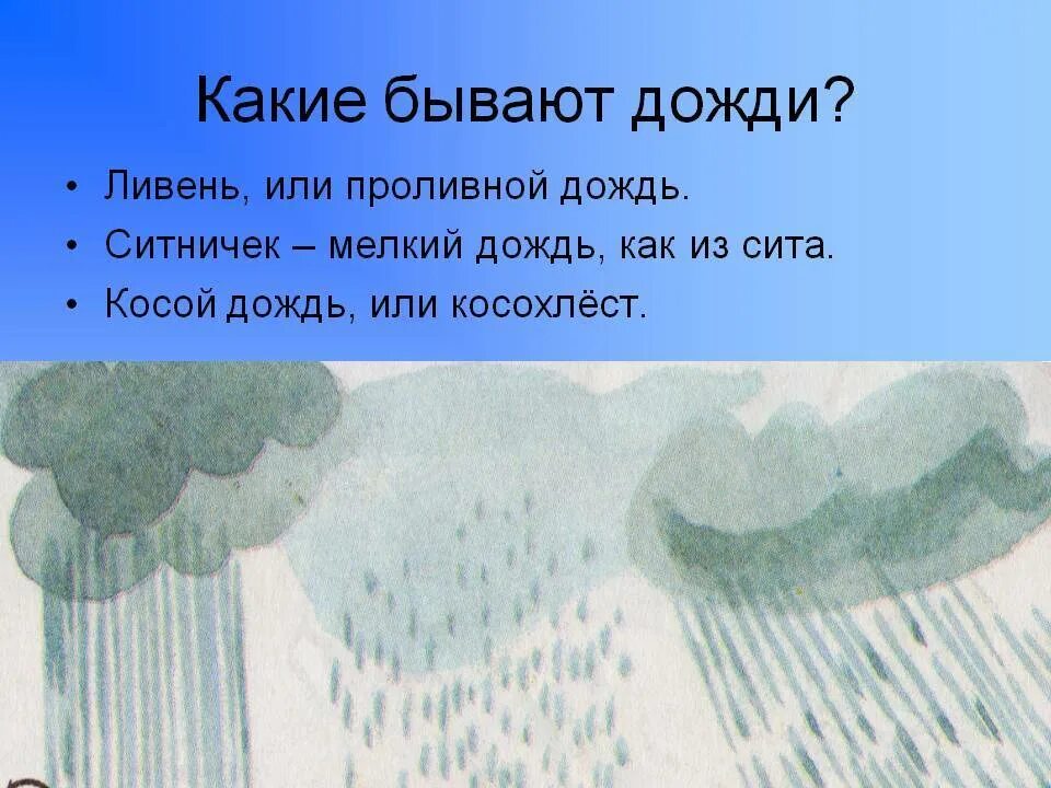 Предложения о дождике. Паустовский какие бывают дожди. Ливень ситничек косохлёст. Косохлест дождь. Презентация на тему дождь.