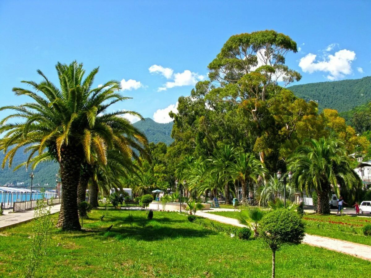 Гагра в августе. Гагра абхазия центр города. Гагра в августе. Черное море в гаграх. Абхазия гагры волны.