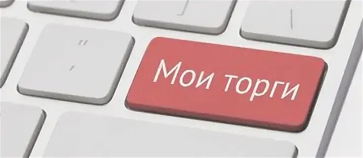 Сайт поиска торгов. Поиск торгов.