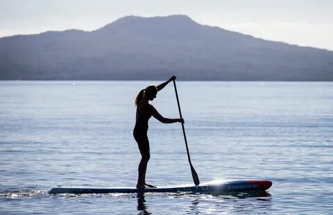 Paddle перевод