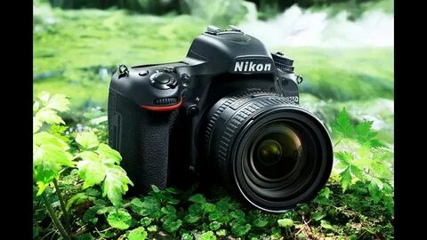 Dslr