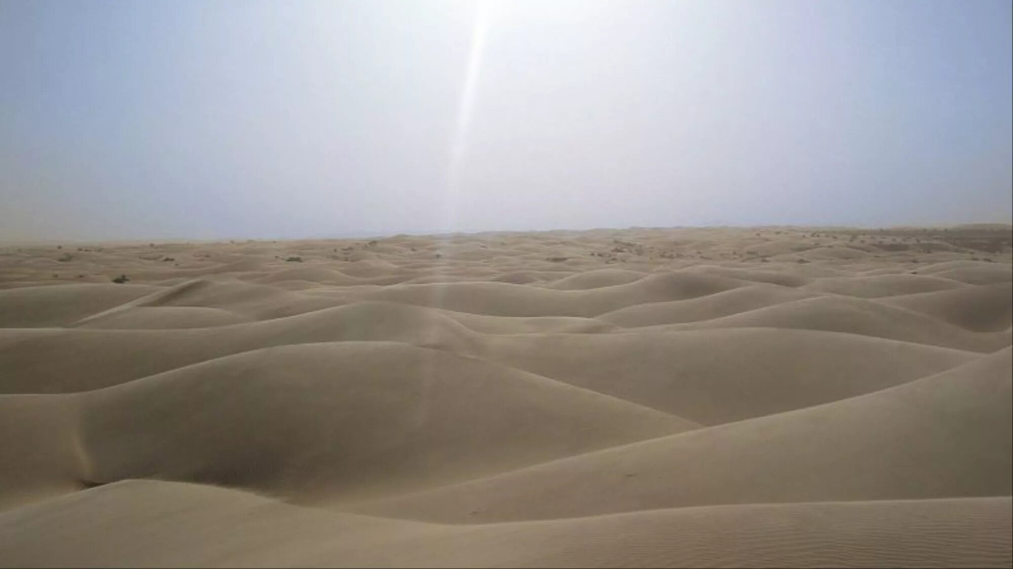 Какие климатические условия в пустыне. Пустыня сахара. Климат в пустыне. Пустыня сахара климат. Дождь в пустыне сахара.
