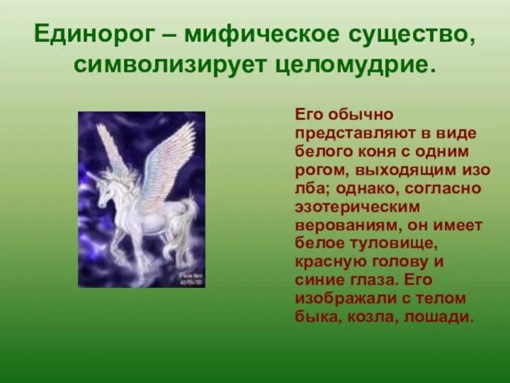 Что обозначает единорог. Что обозначает единорог