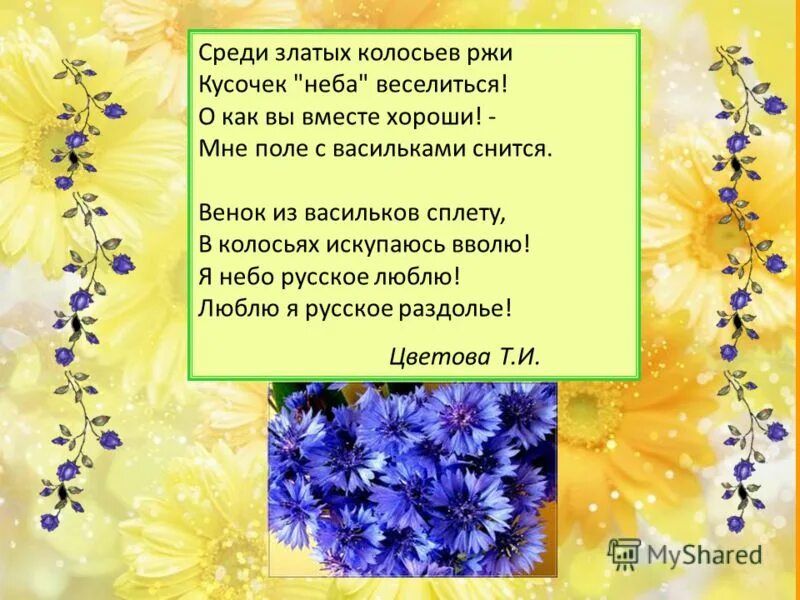 Предложение с васильком. Стих про Василек. Стихотворение про Василек для детей. Стихи о Васильках короткие. Стихи про васильки для детей.