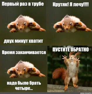 Раз лечу