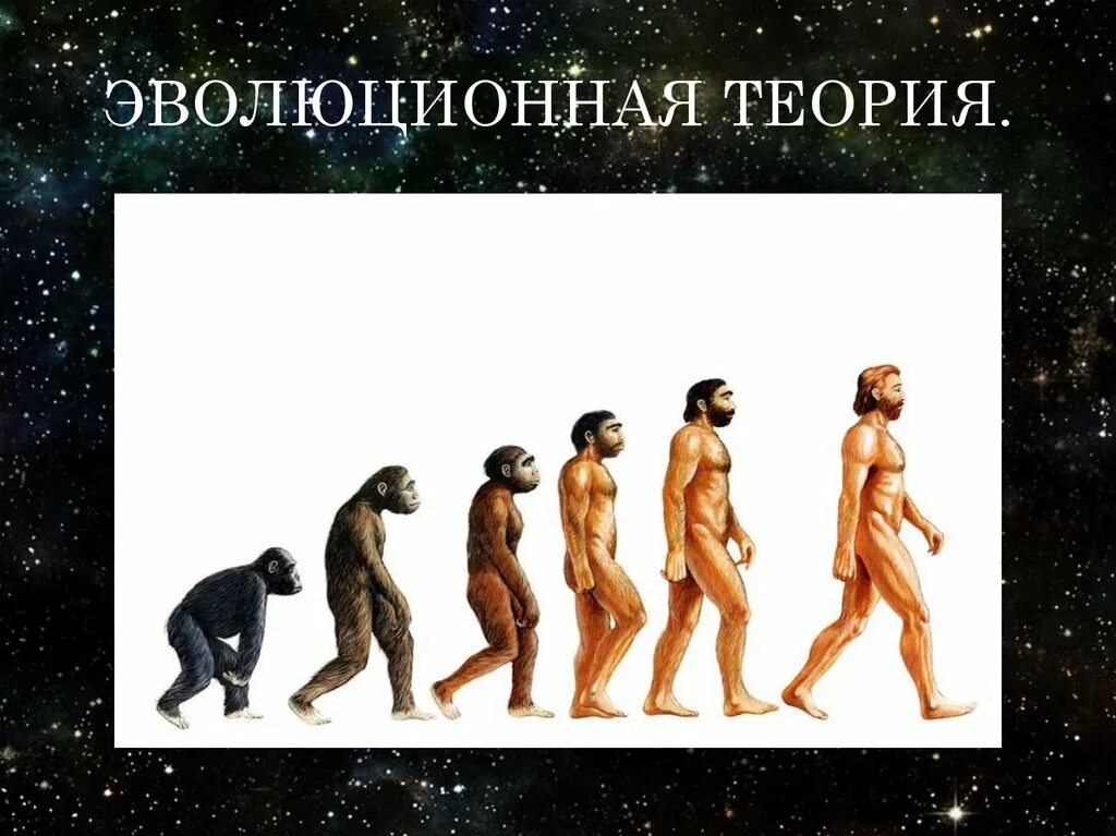 Эволюционная теория. Эволюционное учение. Эволюционистская теория. Эволюционная теория картинки.