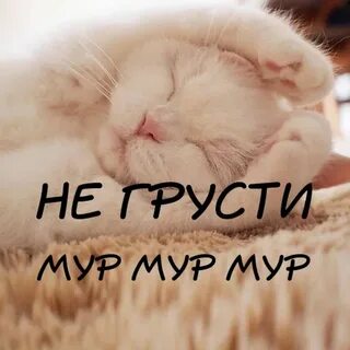 Милый не скучай инстасамка