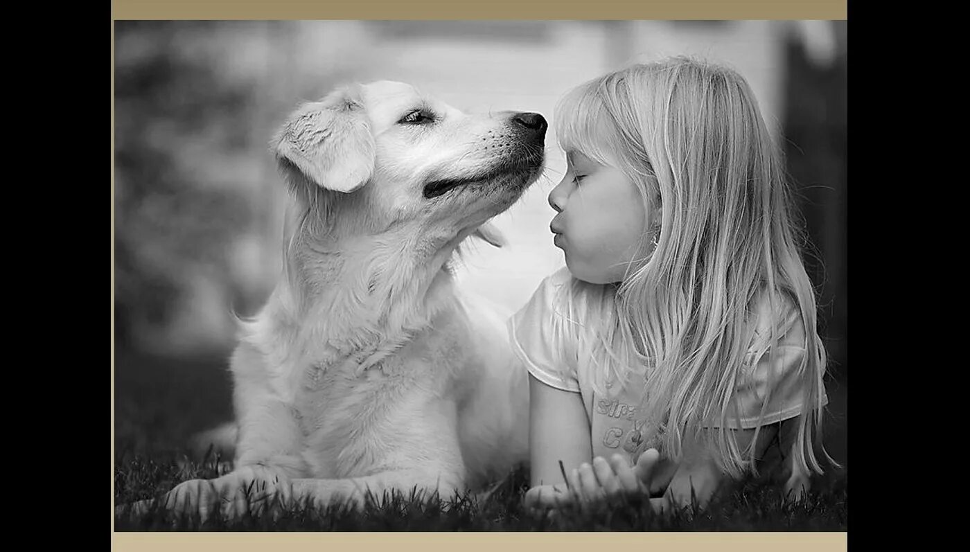 Любовь что можно что нельзя. Дети и собаки цитаты. Афоризмы про детей и собак. Животные лучше людей. Цитаты про дружбу с собакой.