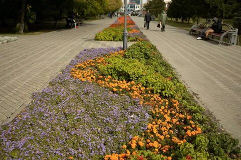 Тюмень посадка
