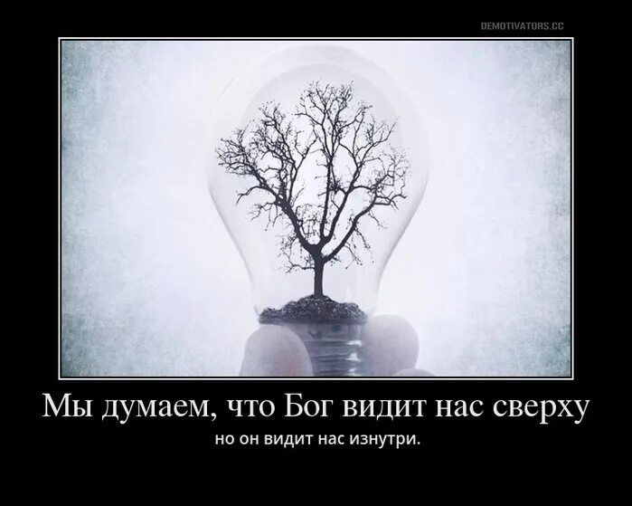 Мы видим то что хотим видеть. Бог нас видит. Бог все видит. Бог видит нас изнутри. Бог все видит и все знает.