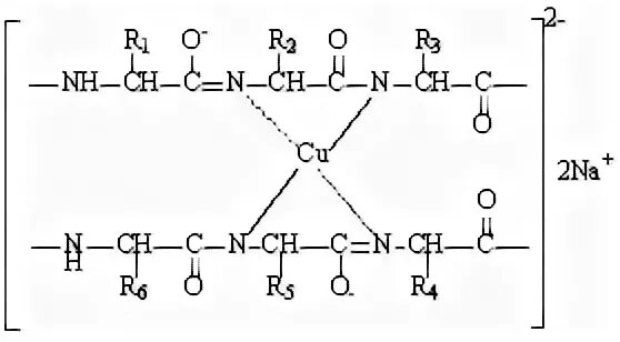Полипептиды с азотной кислотой дают фиолетовое окрашивание. Биуретовая реакция на пептидную связь. Реакция на пептидную связь. Биурет продукт взаимодействия пептид связи с ?. Пептидная связь с щелочными.