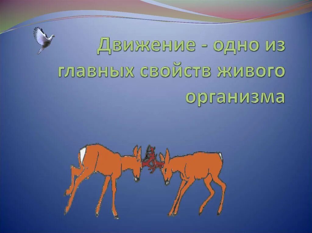 Движение свойство живых организмов. Движение это в биологии. Движение живых организмов презентация. Презентация по биологии движение живых организмов.