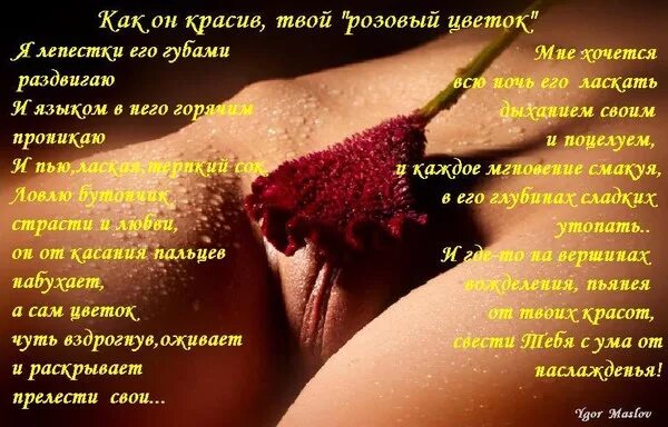 Смотреть Порно Видео Про Аленький Цветочек