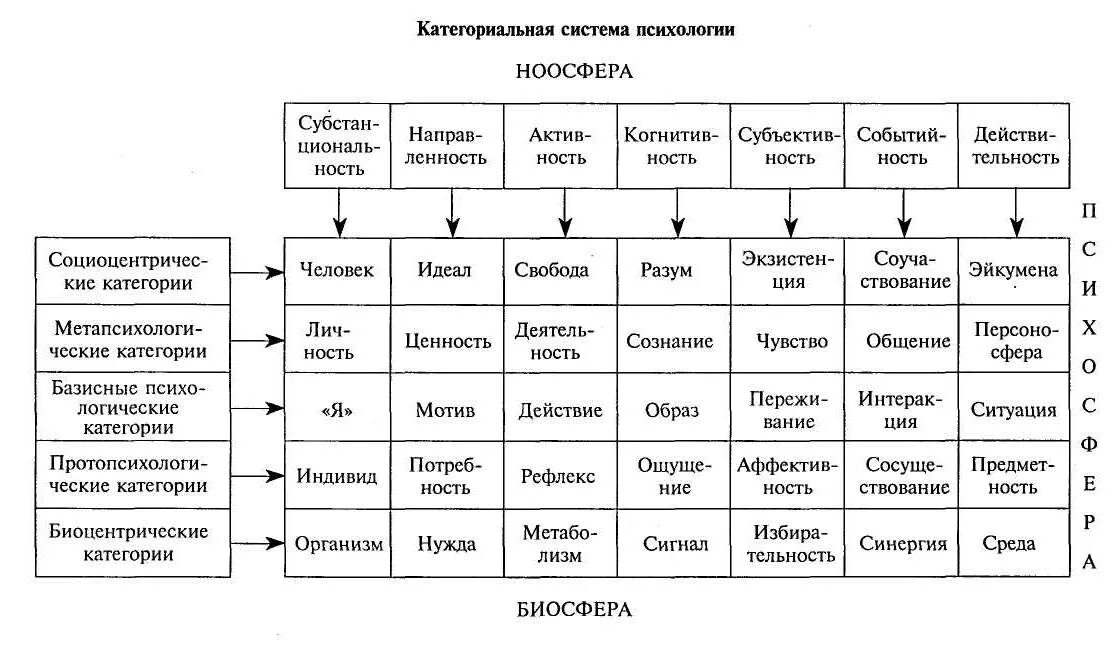 Категориальный Строй психологии таблица. Петровский Ярошевский категориальная система психологии. Категориальный аппарат психологии схема. Категориальный Строй психологической науки. Направления психологического знания