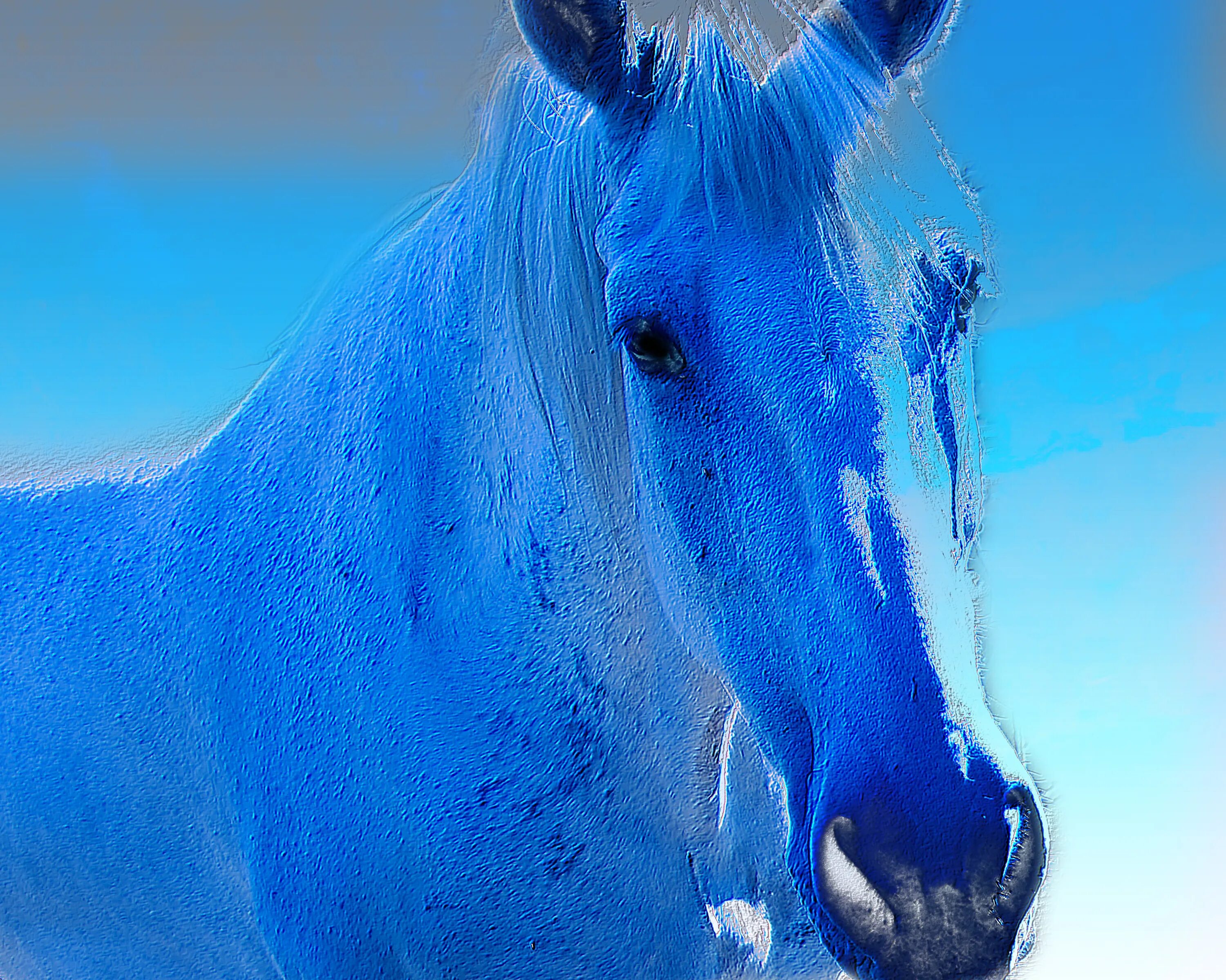 Ну голубой. Синий конь. Голубая лошадь. Синяя лошадка. Cbyyjt лошадь.