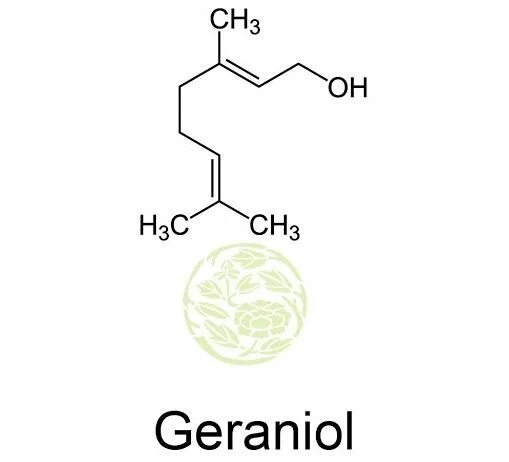Гераниол что это. Гераниол. Гераниол формула. Гераниол химия. Синтез гераниола.